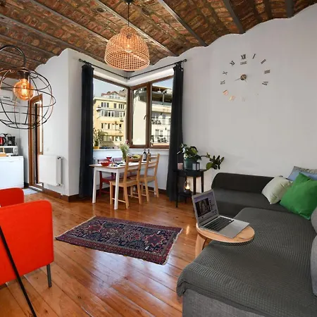 Daire Taksim-galata Tower Is Almost In Your Bedroom And In The Balconies Rooftop Terrace With Golden Horn View İstanbul